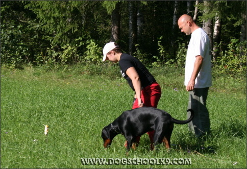 Summer training camp in Finland 2007